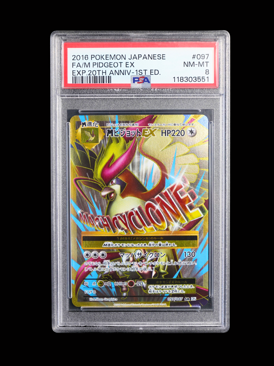 M Pidgeot EX #097